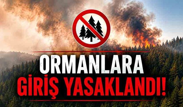 Ormanlara giriş 5 ay yasaklandı!