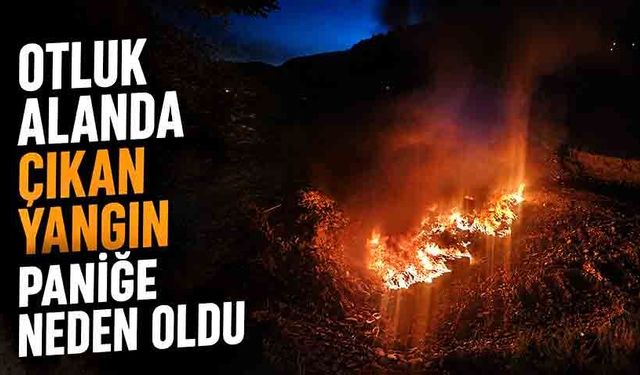 Otluk alanda çıkan yangın paniğe neden oldu