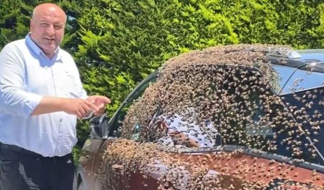Şehir merkezinde otomobili arılar sardı
