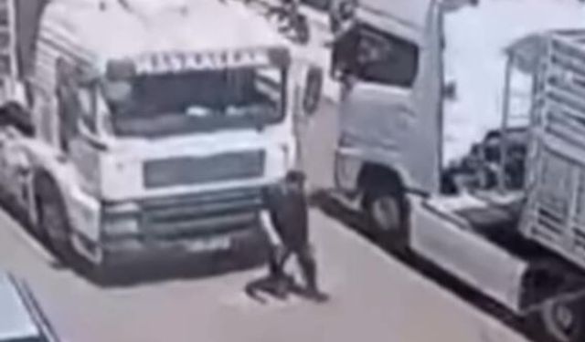 Tırın altında kalan yaya hayatını kaybetti