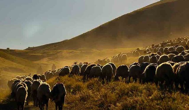 Tozlu yayla yolculuğu eşsiz manzaralar oluşturdu