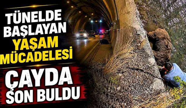 Tünelde başlayan yaşam mücadelesi çayda son buldu