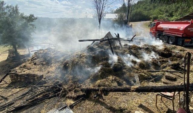 Kastamonu'da alevlere teslim olan samanlık ve balyalar küle döndü