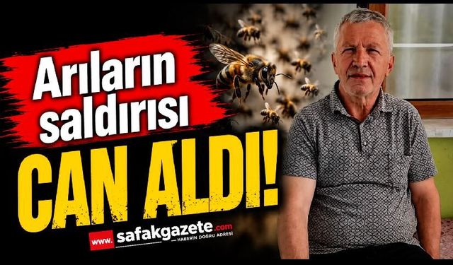Bal arıları can aldı! Yaşlı adam kurtarılamadı