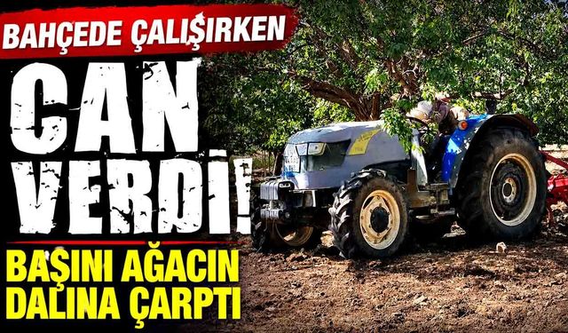 Traktör Üzerinde Korkunç Son! Bir Dal Hayatına Mal Oldu