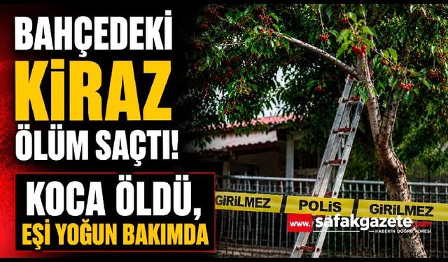 Kiraz Faciası! Aynı Meyveyi Yiyen Çift Hastanelik Oldu