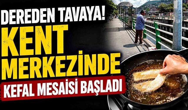 Zonguldak'ta dereyi kefal bastı, oltasını kapan koştu