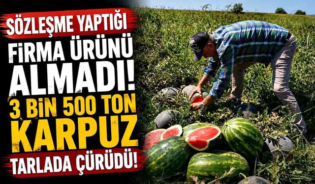 Sözleşme yaptığı firma ürünü almayınca 20 milyon lira zarar etti