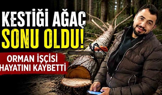 Üzerine ağaç devrilen orman işçisi hayatını kaybetti