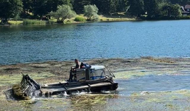 Bolu'nun doğa harikası Gölcük Tabiat Parkı'nın göl yüzeyi temizleniyor