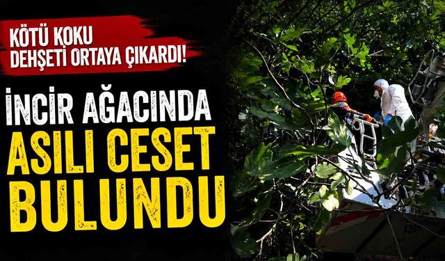 Kötü Koku Dehşeti Ortaya Çıkardı!