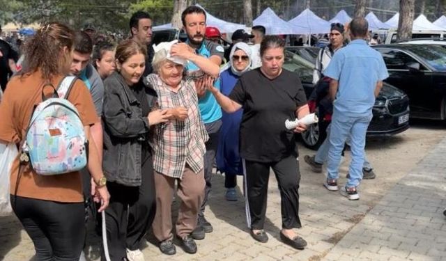 Şenlikte ağaçtan düşen dal yaşlı kadını yaraladı