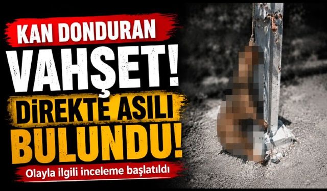 Kan Donduran Görüntü! Direğe Asılmış Halde Bulundu