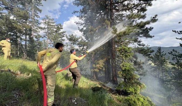 Kastamonu'da çıkan orman yangınında 7,5 dönüm alan zarar gördü