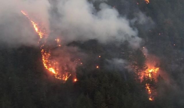 Kastamonu'daki orman yangınına müdahale sürüyor