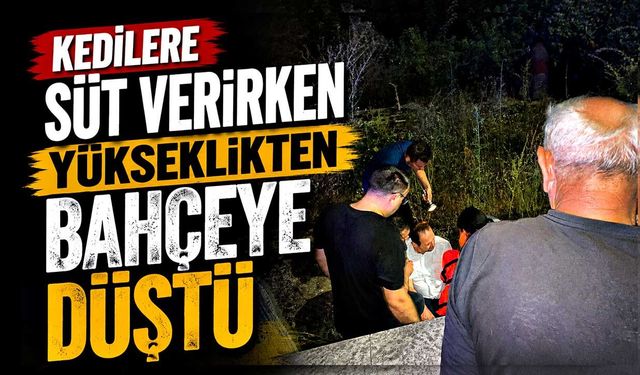 Kedilere süt verirken yükseklikten bahçeye düştü