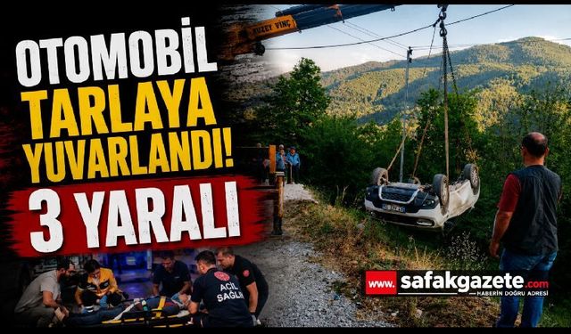 Otomobil tarlaya yuvarlandı: 3 yaralı
