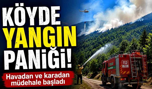 Ormanlık alanda çıkan yangına havadan ve karadan müdahale