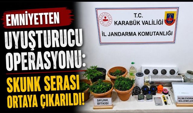 Karabük'te uyuşturucu operasyonu: Skunk serası ortaya çıkarıldı