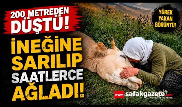 Uçurumdan düşerek telef olan ineğine sarılıp saatlerce ağladı