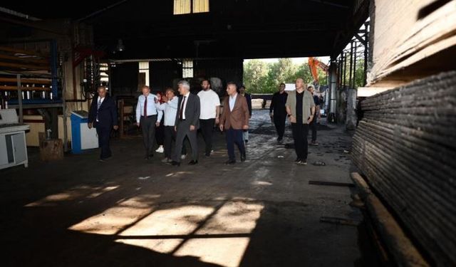 Yanan orman ürünleri fabrikasında inceleme
