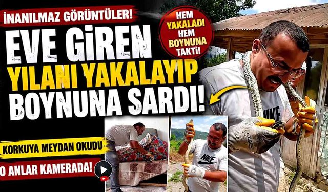 Eve giren yılanı yakalayıp boynuna sardı