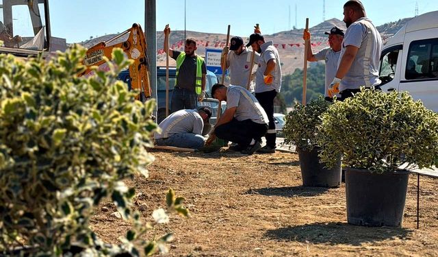 200 ağaç ve süs bitkisi toprakla buluşuyor