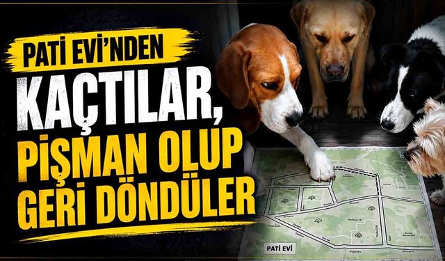 Pati Evi’nden kaçtılar, pişman olup geri döndüler