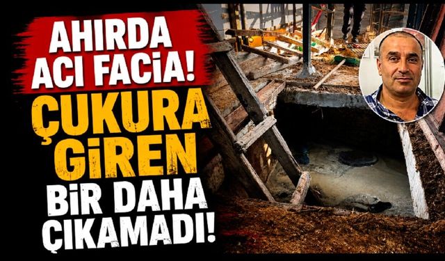 Ahırda Acı Facia! Çukura Giren Bir Daha Çıkamadı!