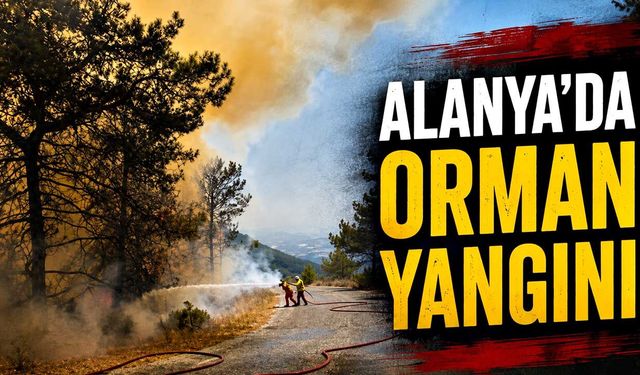 Alanya'da orman yangını