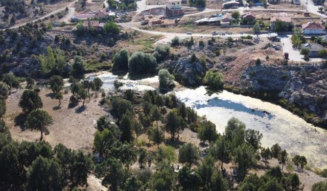 Beyşehir'in simge misafirleri göç etti, yuvalar boş kaldı