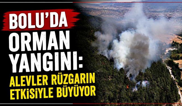 Bolu’da orman yangını: Alevler rüzgarın etkisiyle büyüyor