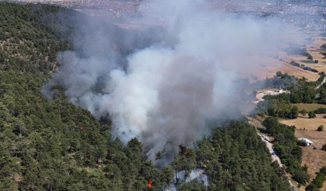 Bolu'da orman yangını başladı