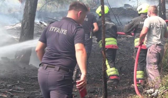 Bolu’daki orman yangını kontrol altına alındı