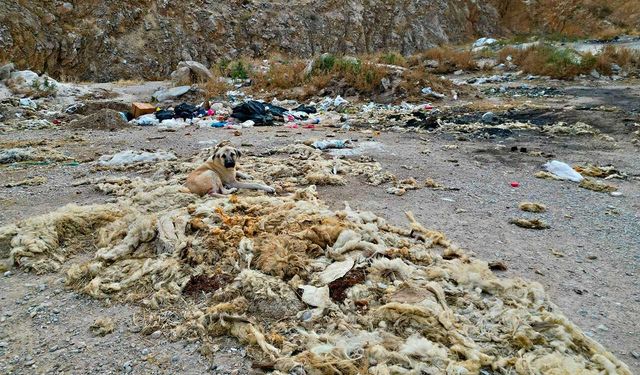 Çöplüğe dönen kum ocağında cevre felaketi yaşanıyor