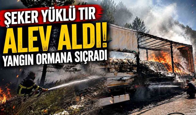Şeker yüklü tır alev aldı, yangın ormana sıçradı