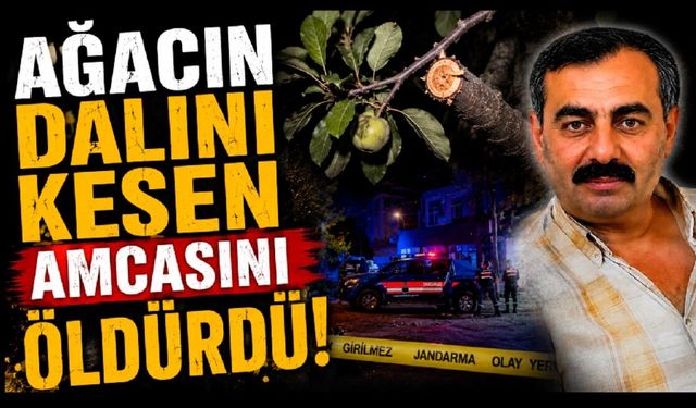 Ağacın dalını kestiği için amcasını öldürdü