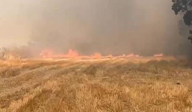 Eskipazar'da anız yangını korkuttu
