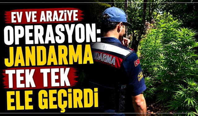 Ev ve araziye operasyon: Jandarma tek tek ele geçirdi