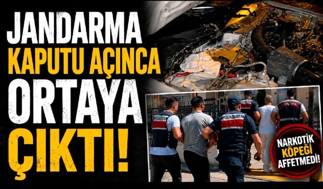 Jandarma kaputu açınca ortaya çıktı!
