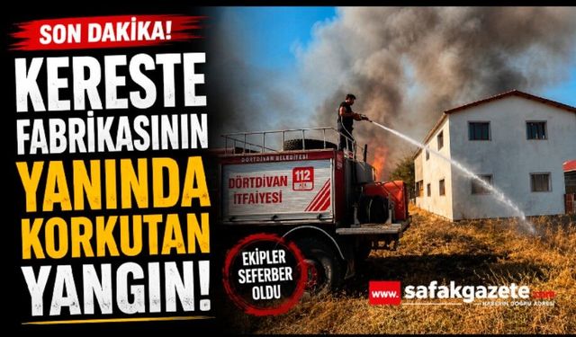 Bolu’da kereste fabrikasının yanında korkutan yangın