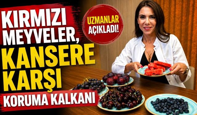 Kırmızı meyveler, kansere karşı koruma kalkanı