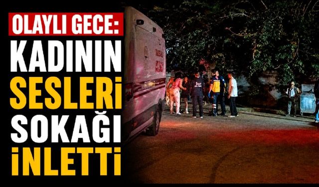 Olaylı gece: Sinir krizi geçiren kadının bağırış sesleri sokağı inletti