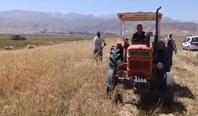 Sıcak havaya rağmen çiftçilerin hasat mesaisi başladı