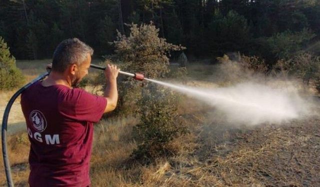 Bolu'da orman kenarında anız yangını: Köylülerin su tankerli müdahalesi faciayı önledi