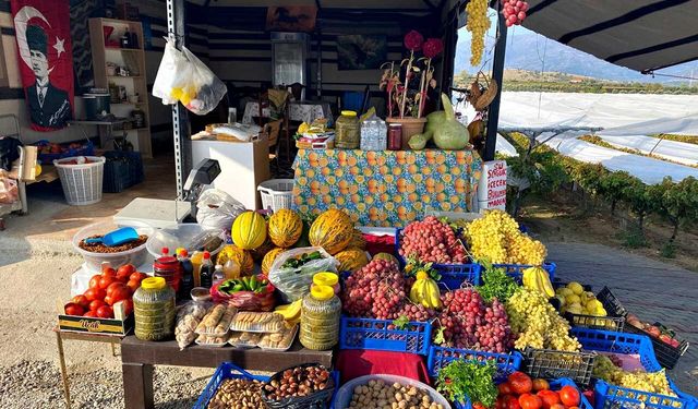 Yol üzerinde dalından sofraya