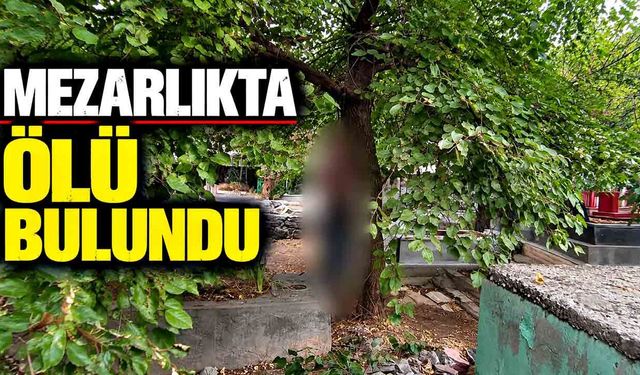 Mezarlığa giden vatandaşlar cansız bedenle karşılaştı