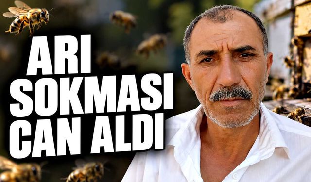 Çorum’da arı sokması sonrası fenalaştı, hayatını kaybetti