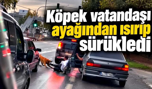Köpek vatandaşı ayağından ısırıp sürükledi