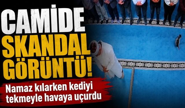 Camide namaz kılarken kediyi tekmeyle havaya uçurdu
